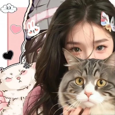 中华熊猫